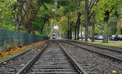 silberpfeil in der kastanienallee