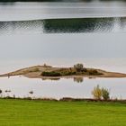 Silberreiher beim Forggensee