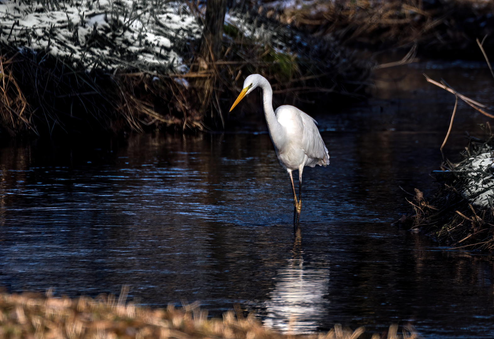 "SILBERREIHER IM BACH"