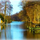 Silberreiher Tour im Ostenmeer