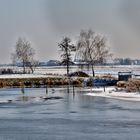 Silberreiher's Winterbild bei Sack