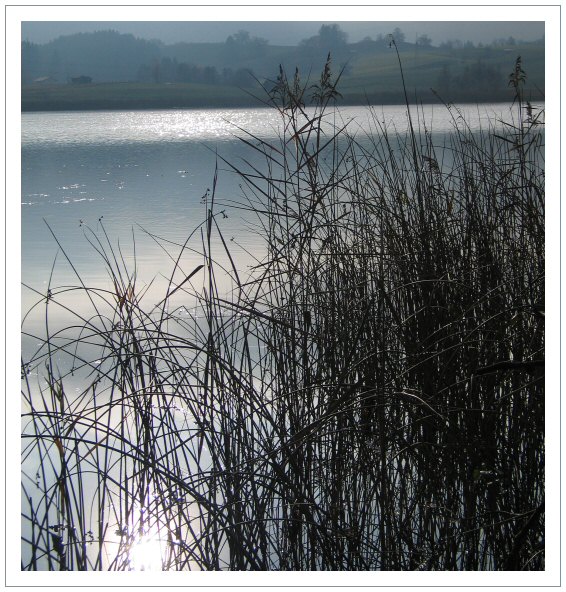 Silbersee