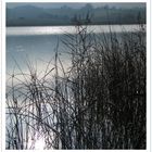 Silbersee