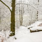 Silbersee am Habichtswaldsteig