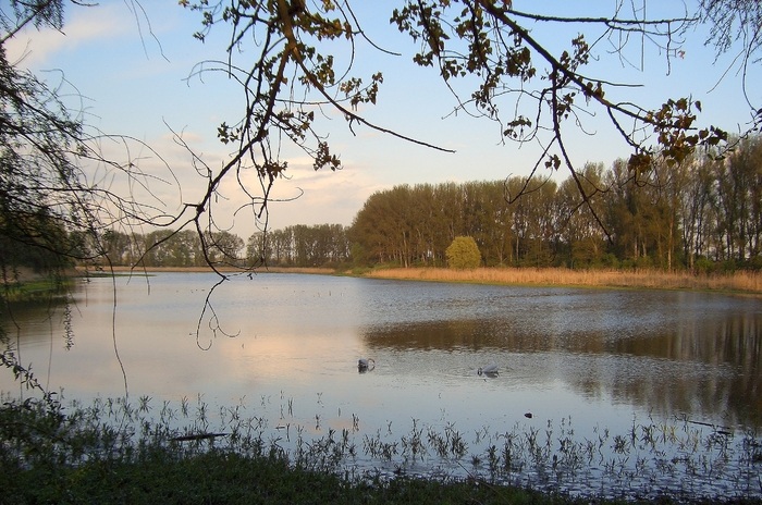 Silbersee bei Bobenheim-Roxheim