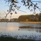 Silbersee bei Bobenheim-Roxheim