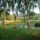 Silbersee bei Landstuhl