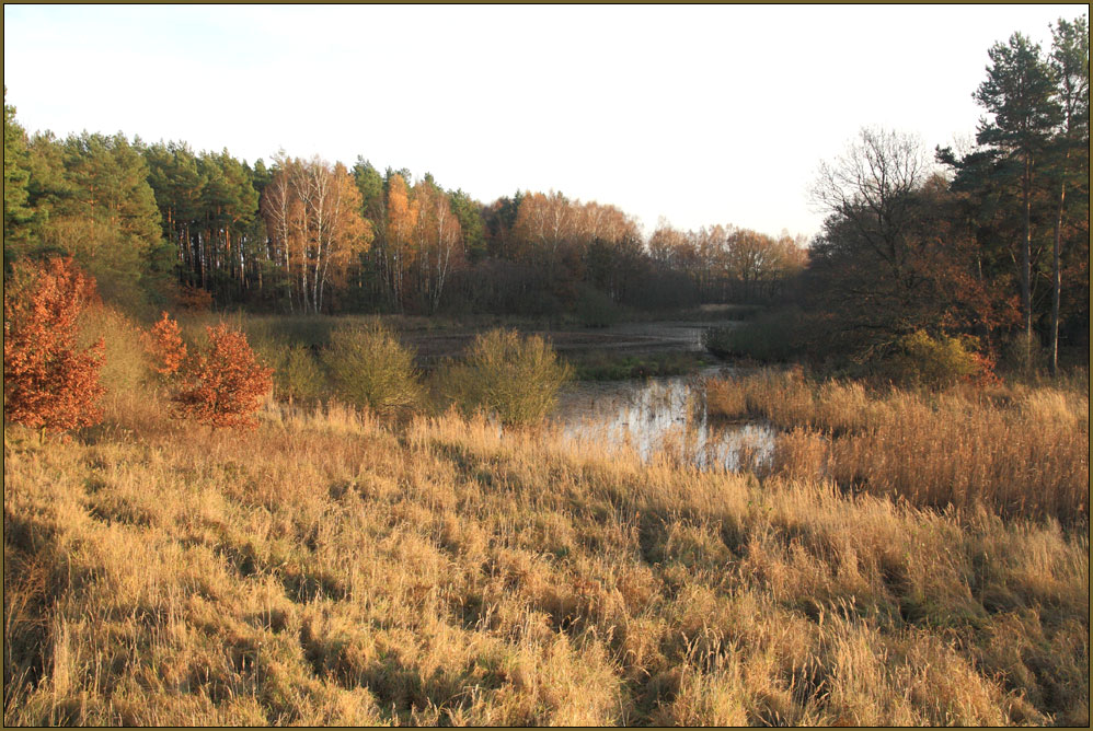 Silbersee bei Pasewalk