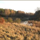 Silbersee bei Pasewalk