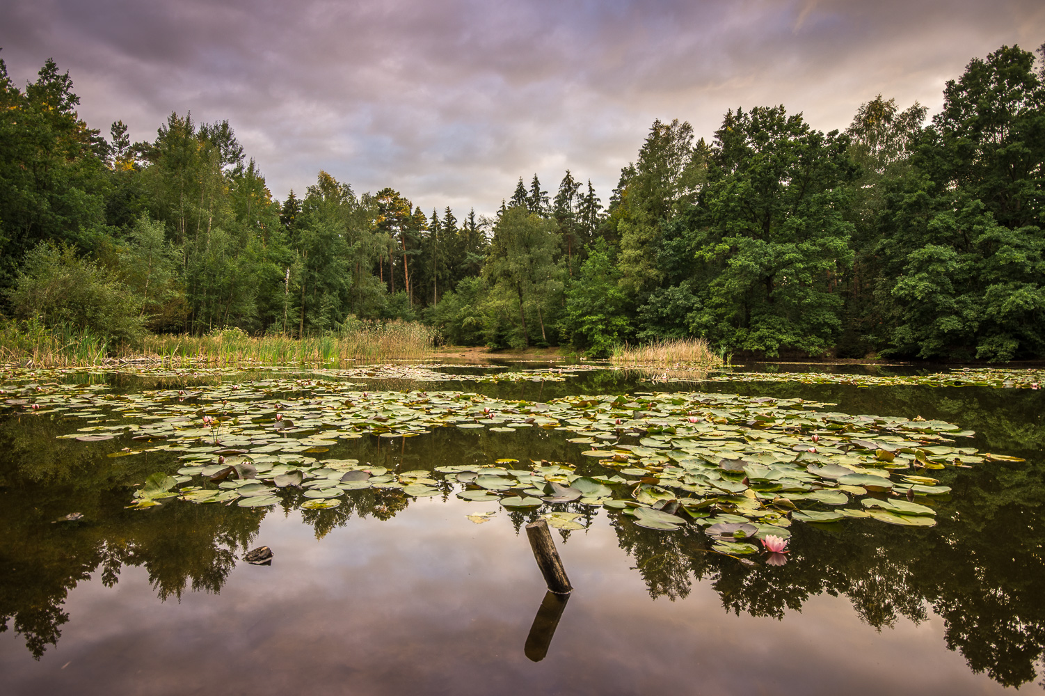 Silbersee