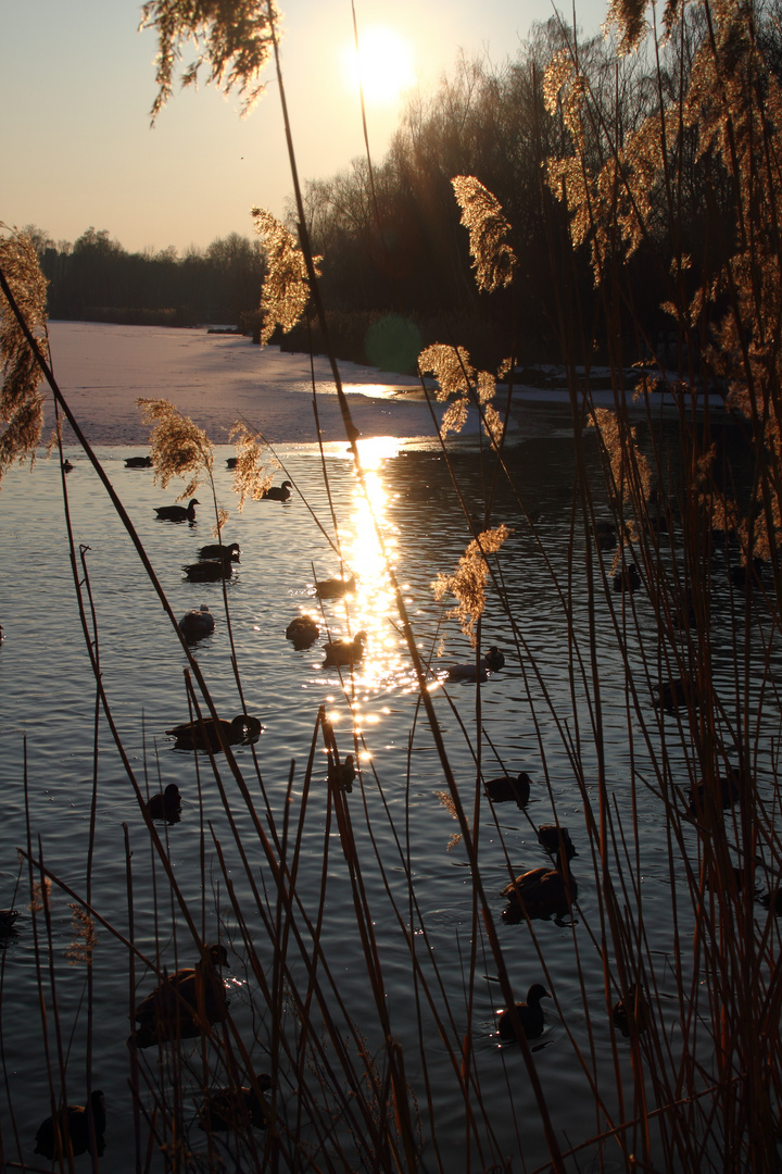 Silbersee