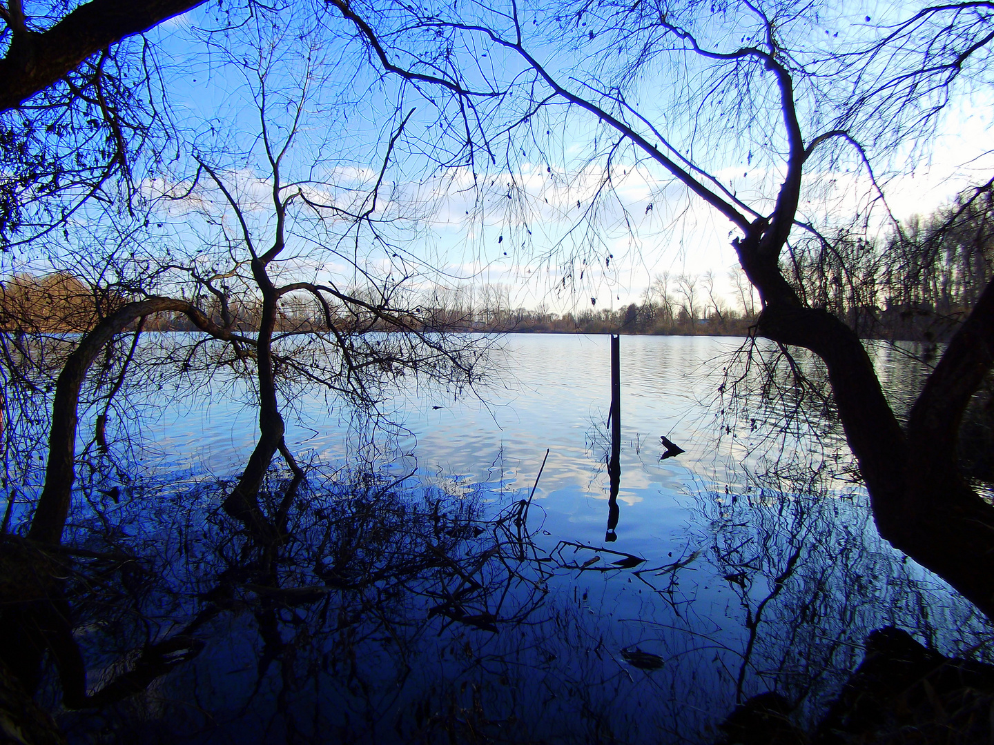 Silbersee ein Ausbilck