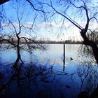 Silbersee ein Ausbilck