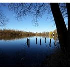 Silbersee - frühmorgens - eine Oase der Ruhe