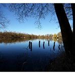 Silbersee - frühmorgens - eine Oase der Ruhe