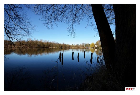 Silbersee - frühmorgens - eine Oase der Ruhe