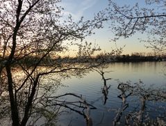 Silbersee im Frühling