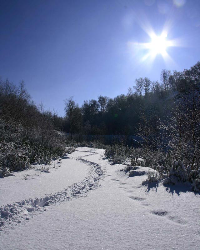 silbersee im Winter