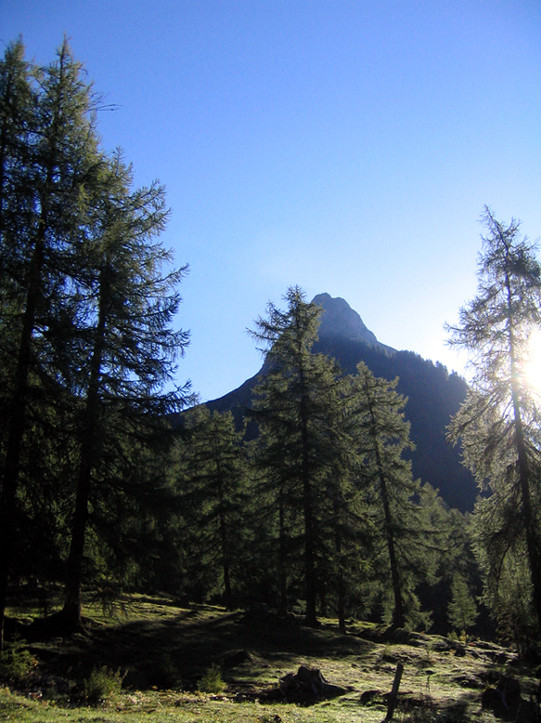 Silberspitze