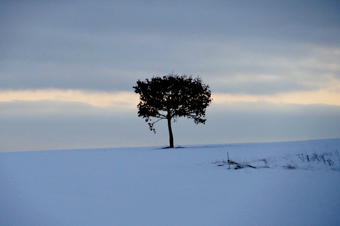 Silberstreif am Horizont