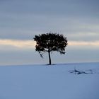 Silberstreif am Horizont