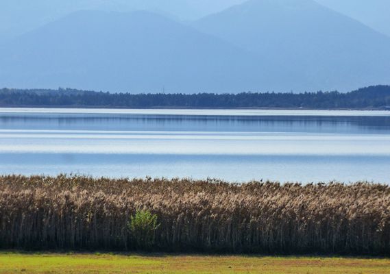 Silberstreif am Horizont - der Simssee im Chiemgau