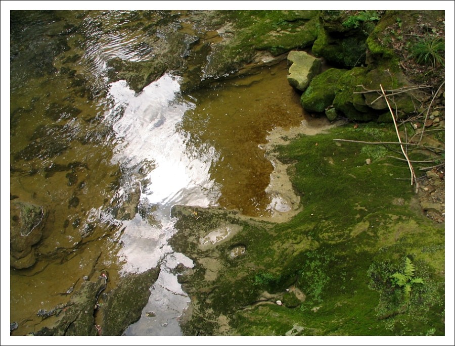 Silberstreif in der Leiblach