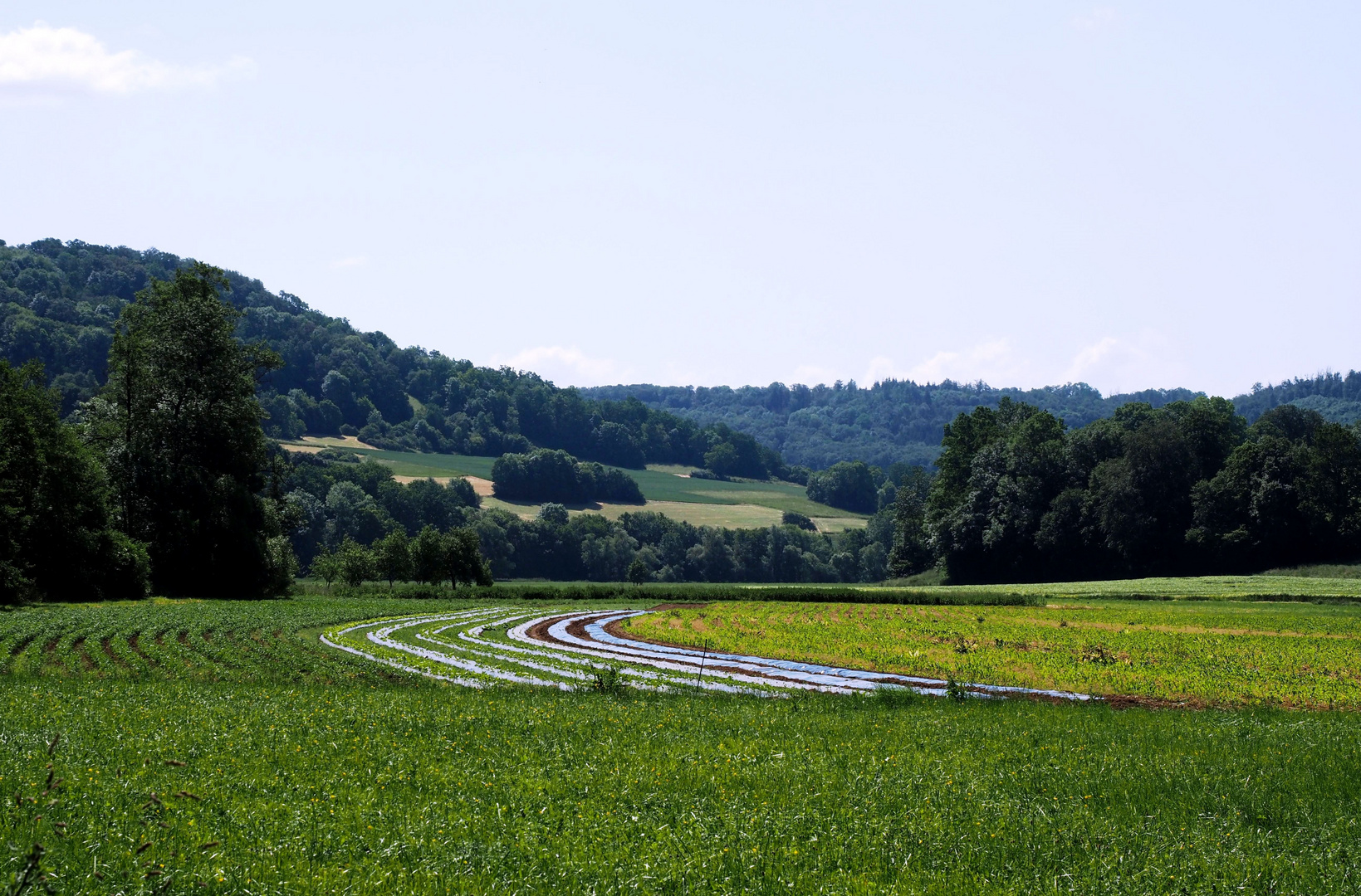 Silberstreifen im Jagsttal