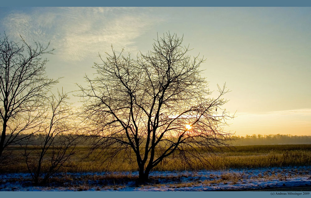 Silberstreifen, morgens um Acht