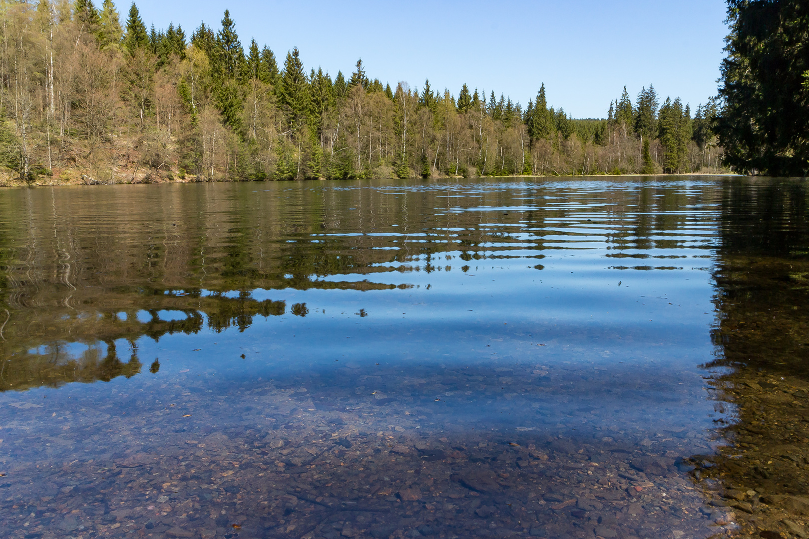 Silberteich bei Braunlage im Harz