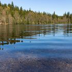 Silberteich bei Braunlage im Harz