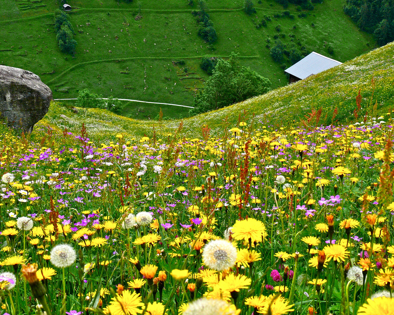 Silblen, Golzern ,Maderanertal