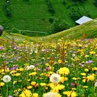 Silblen, Golzern ,Maderanertal