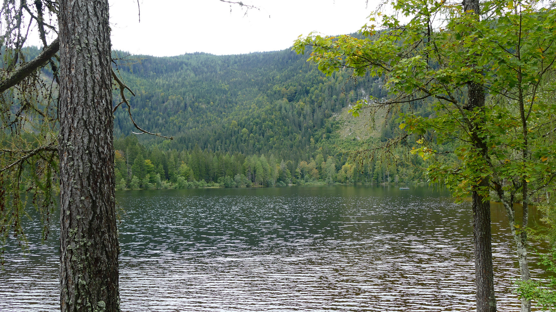 Silbrig glänzendes Wasser