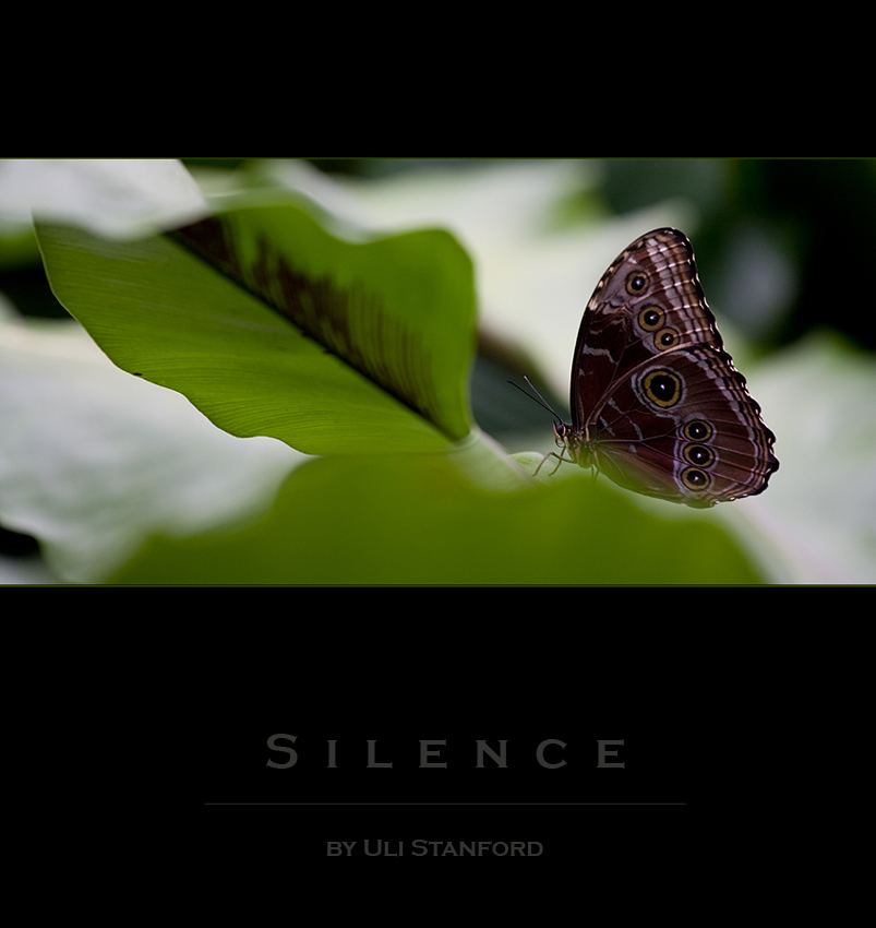 Silence