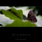 Silence