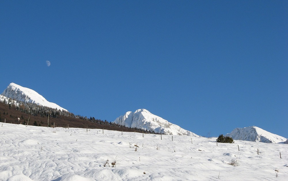 Silence di DE NARDI LUCIANA 