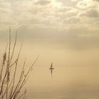 silence at the lake of constance