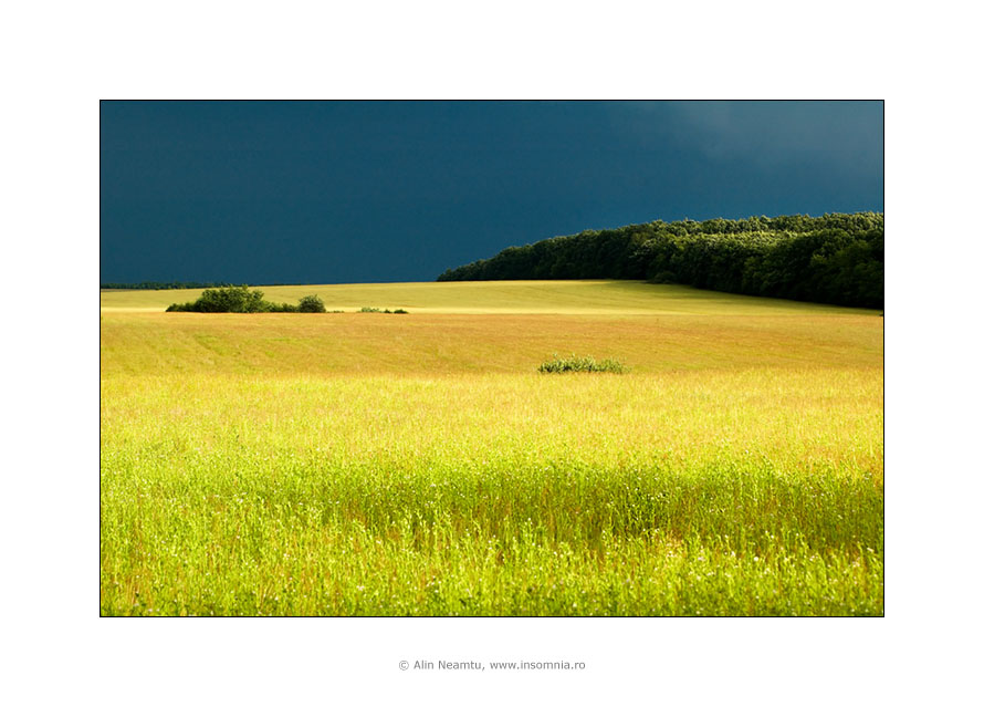 Silence Before The Storm