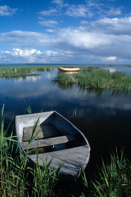 silence boats