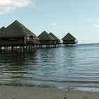 Silence , dream & meditation, Tahiti, 2007