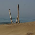 silence