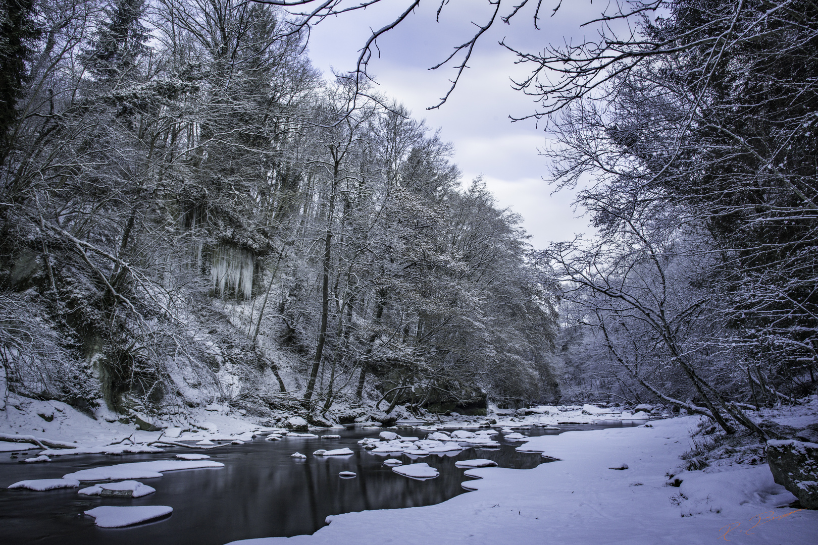 Silence glacé