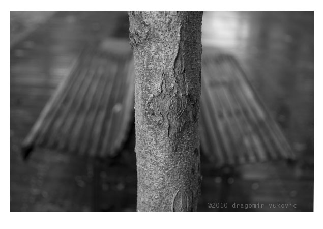 Silence In Park