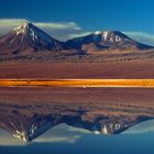 Silence in the Atacama