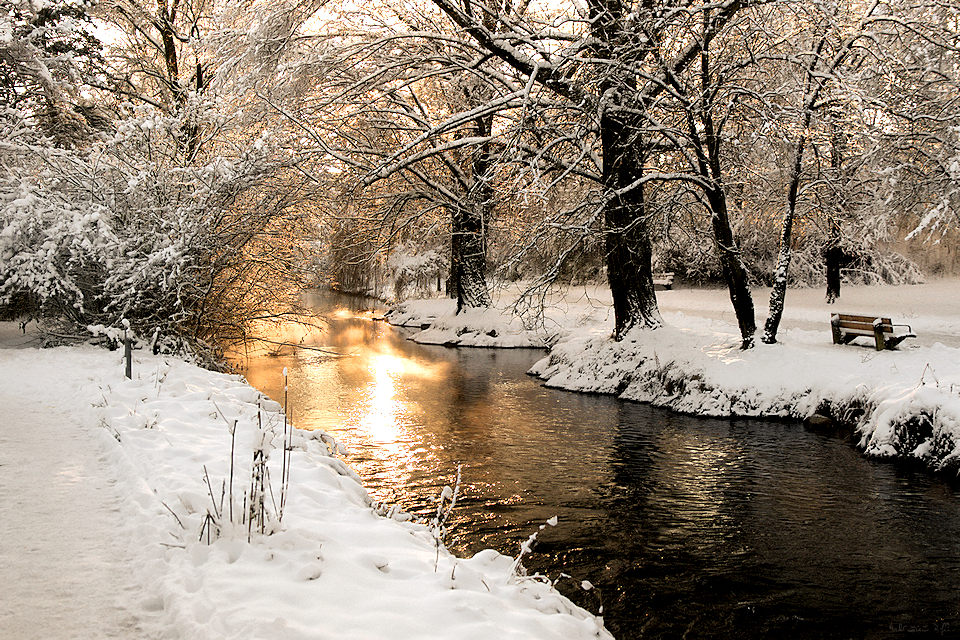 silence in the snow