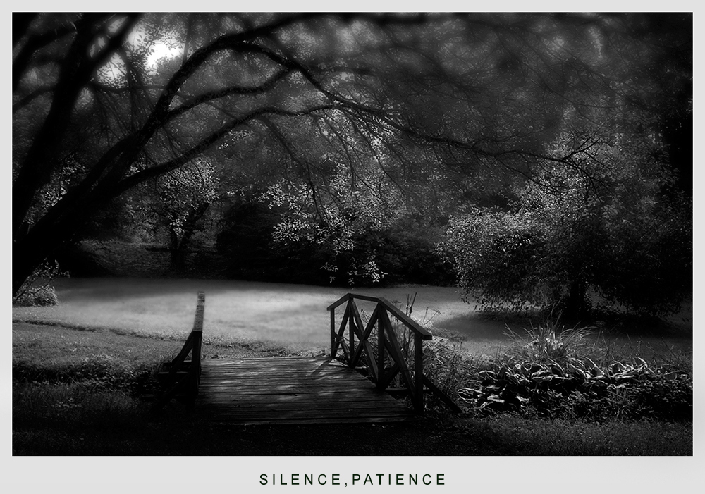 Silence , patience