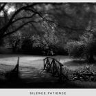 Silence , patience