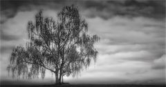 Silence Spot