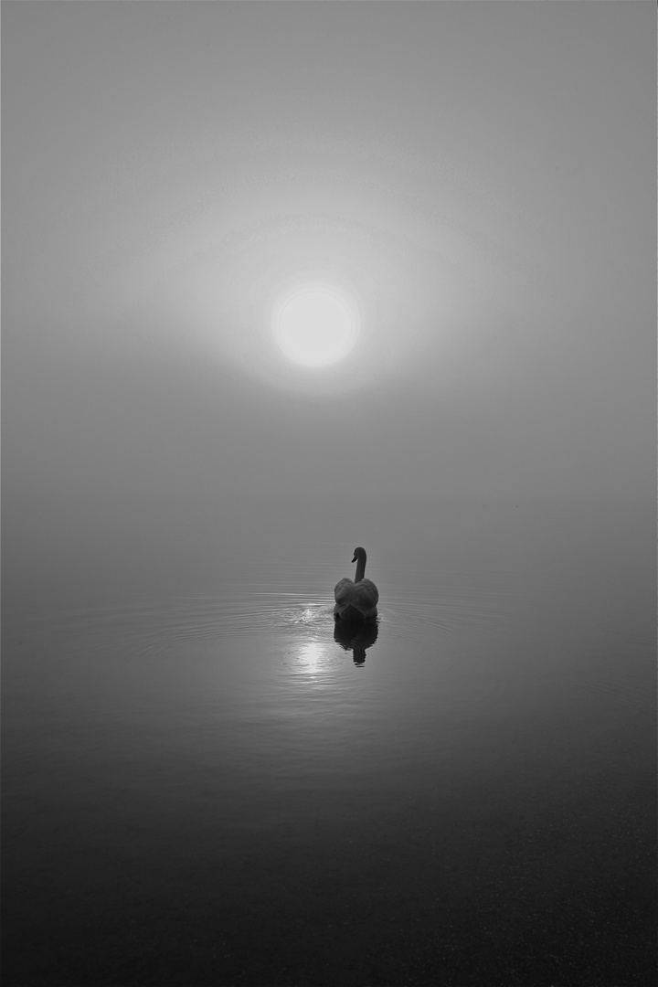 .....silence VI.....